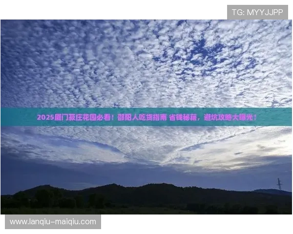 玩球tv官网彩票与数字高频玩法防骗避坑指南 玩球tv官网彩票与数字高频玩法防骗避坑指南